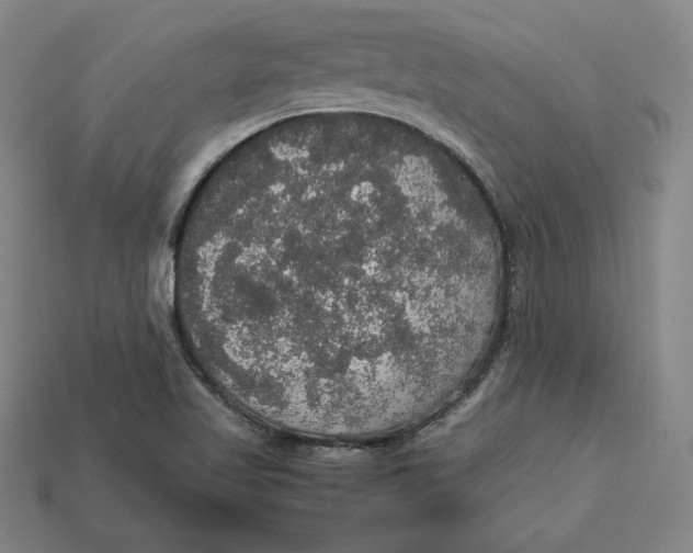 X0000113111509200909181617