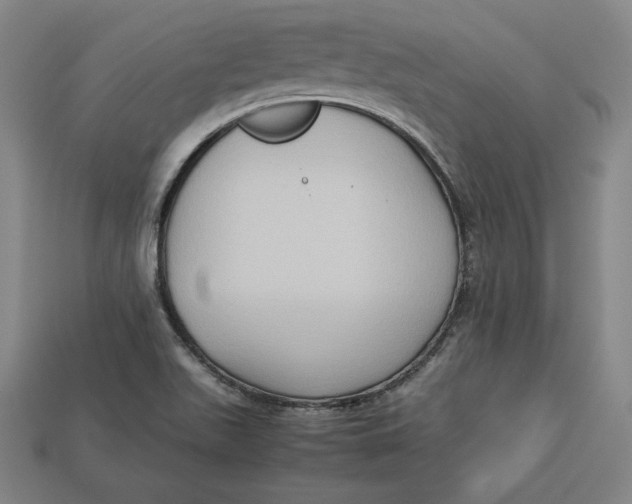 X0000113111511200909181617