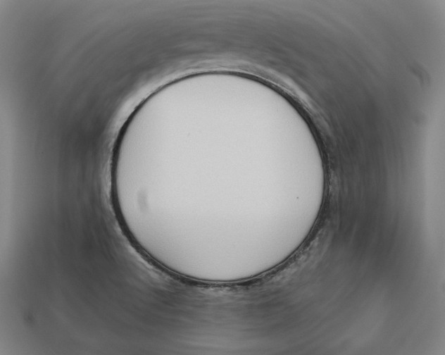 X0000113111512200909181617