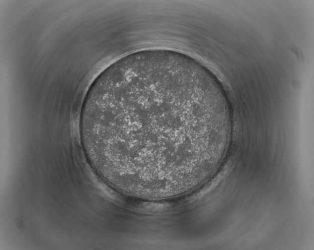 X0000113111513200909181617