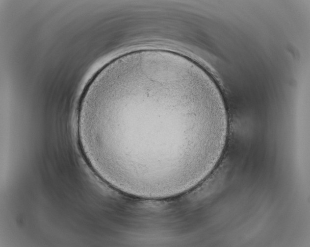 X0000113111514200909181617