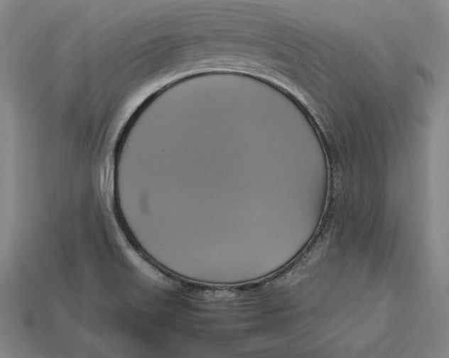 X0000113111515200909181617