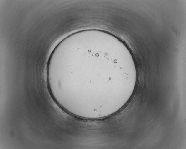 X0000113111516200909181617