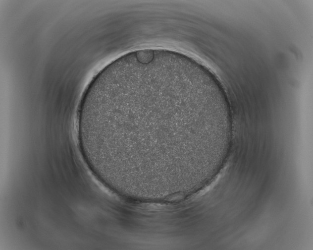 X0000113111517200909181617