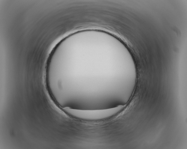 X0000113111518200909181617