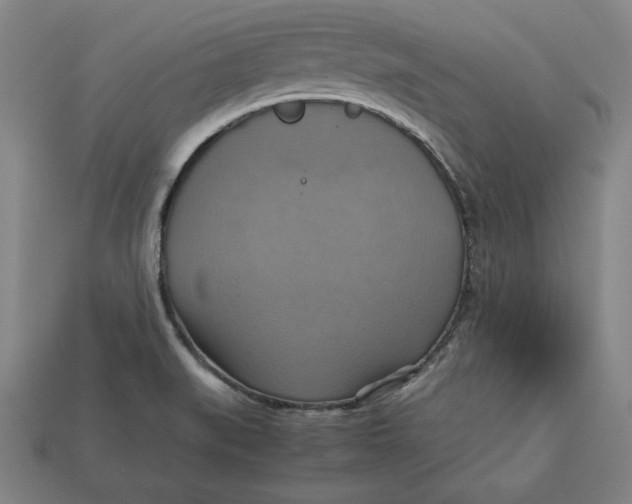 X0000113111519200909181617
