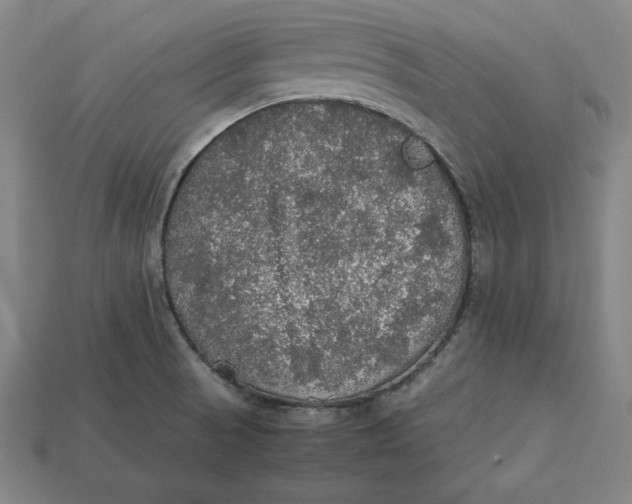 X0000113111521200909181617