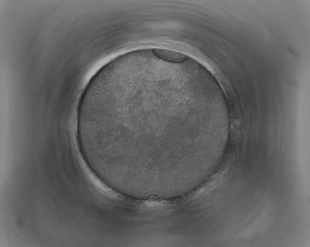 X0000113111523200909181617