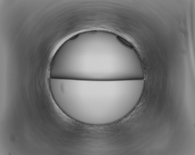 X0000113111524200909181617
