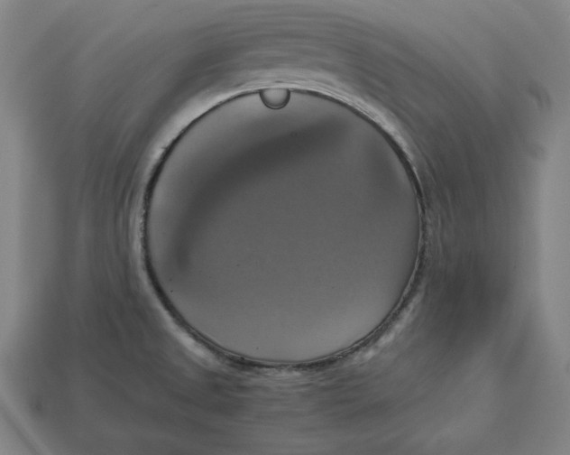 X0000113111525200909181617