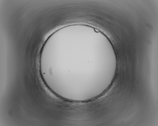 X0000113111526200909181617