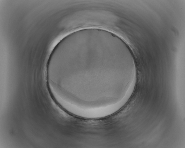 X0000113111527200909181617