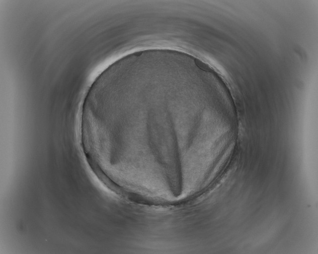 X0000113111528200909181618