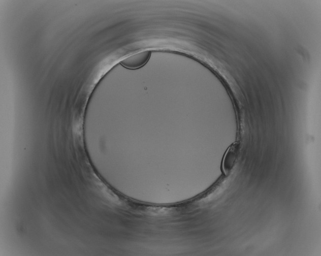X0000113111529200909181618