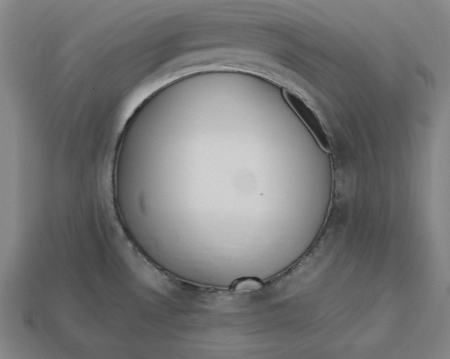 X0000113111530200909181618