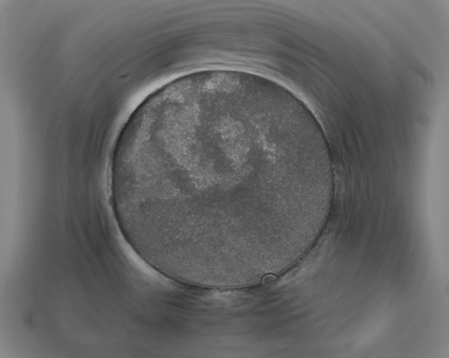 X0000113111531200909181618