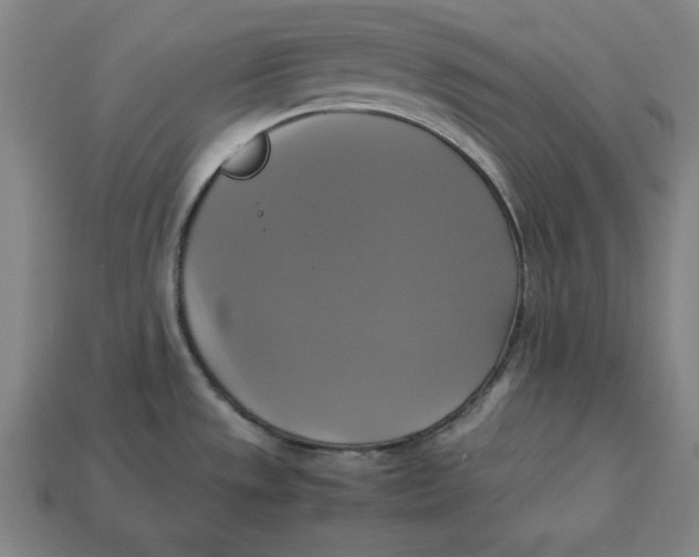 X0000113111533200909181618
