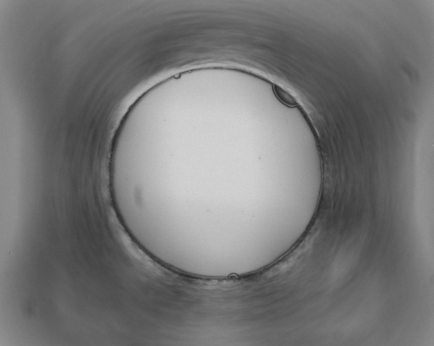 X0000113111534200909181618