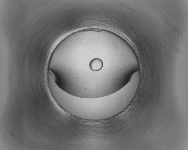 X0000113111536200909181618