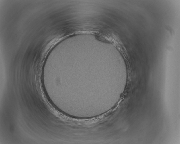 X0000113110001200909251101