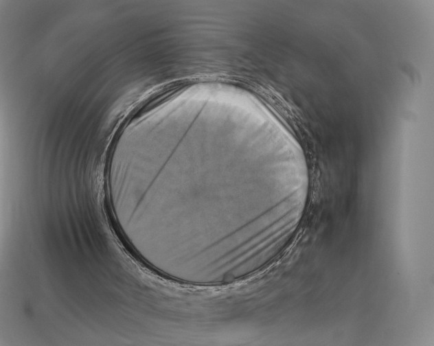 X0000113110002200909251101