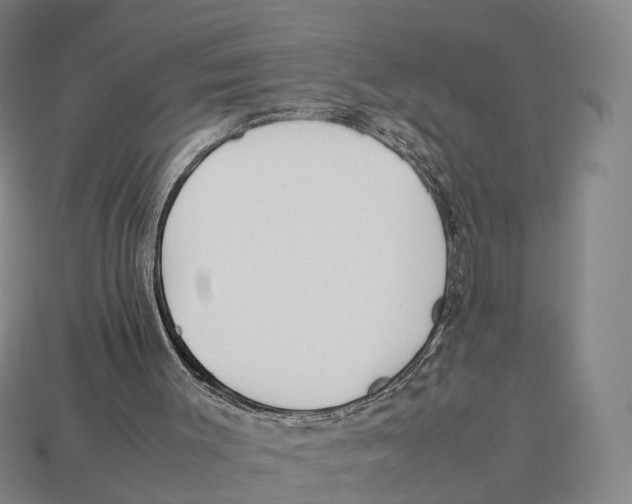 X0000113110003200909251101