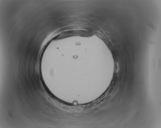 X0000113110004200909251101