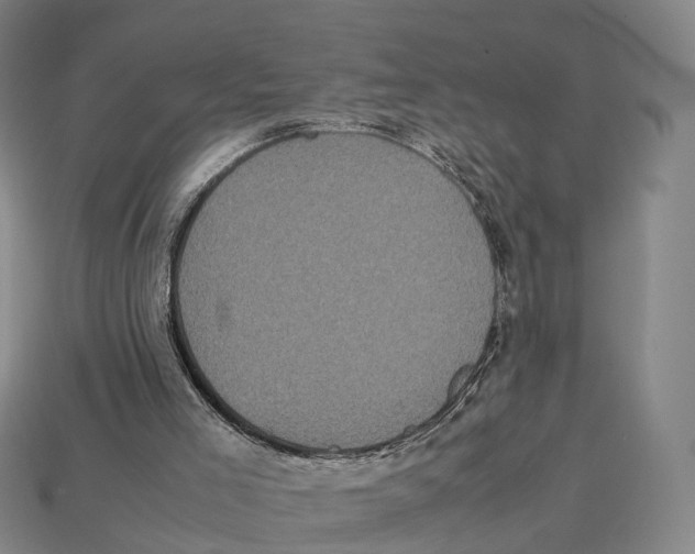 X0000113110005200909251101