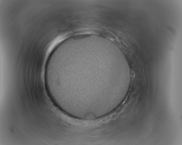 X0000113110006200909251101