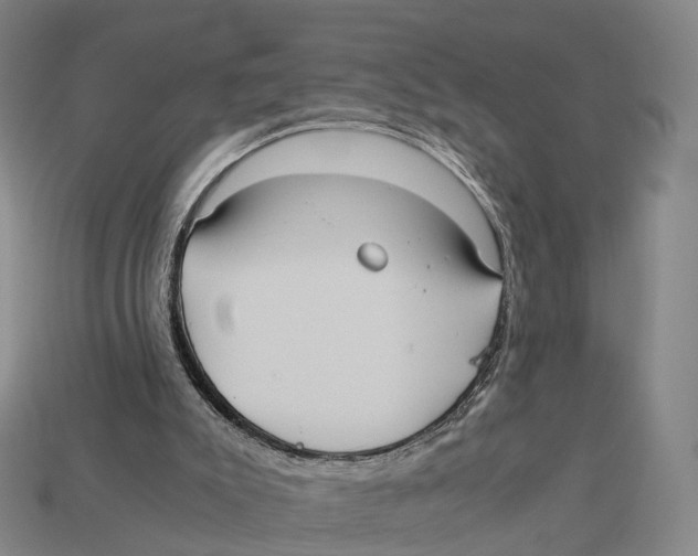 X0000113110007200909251101