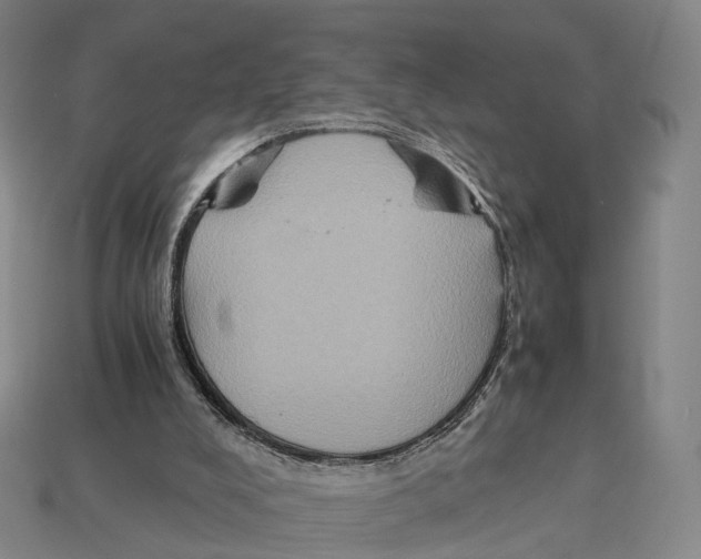X0000113110008200909251101