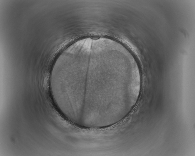 X0000113110009200909251101