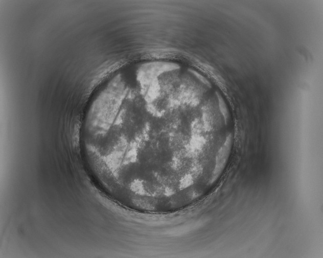 X0000113110010200909251101