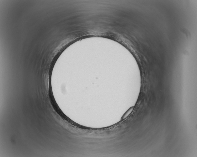 X0000113110011200909251101