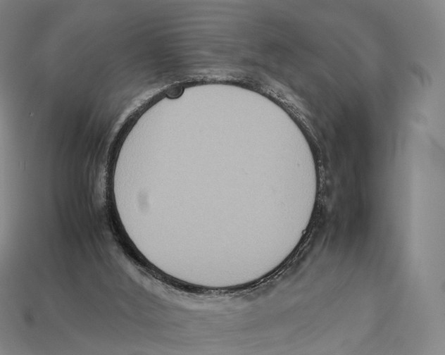 X0000113110012200909251101