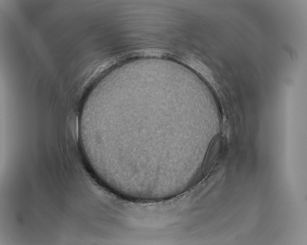 X0000113110013200909251101