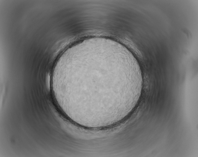 X0000113110014200909251101