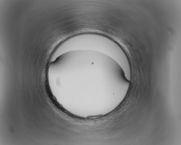 X0000113110015200909251101