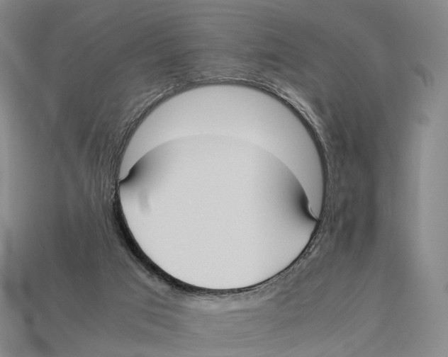 X0000113110017200909251101