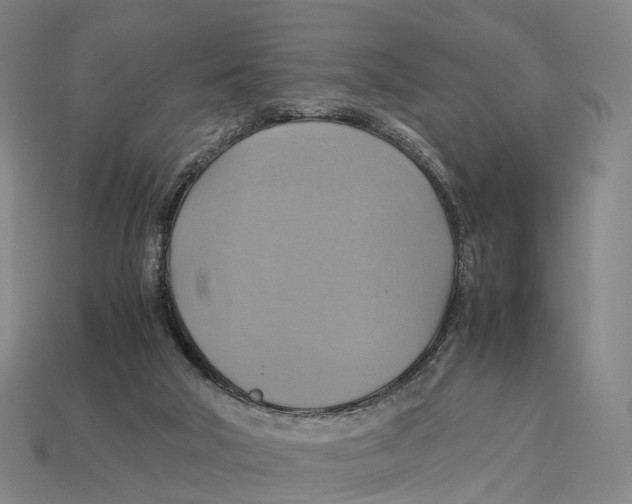 X0000113110018200909251101