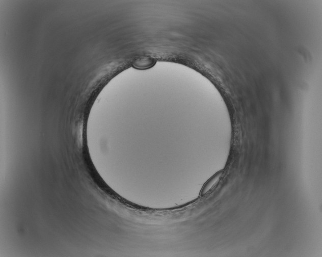X0000113110019200909251101