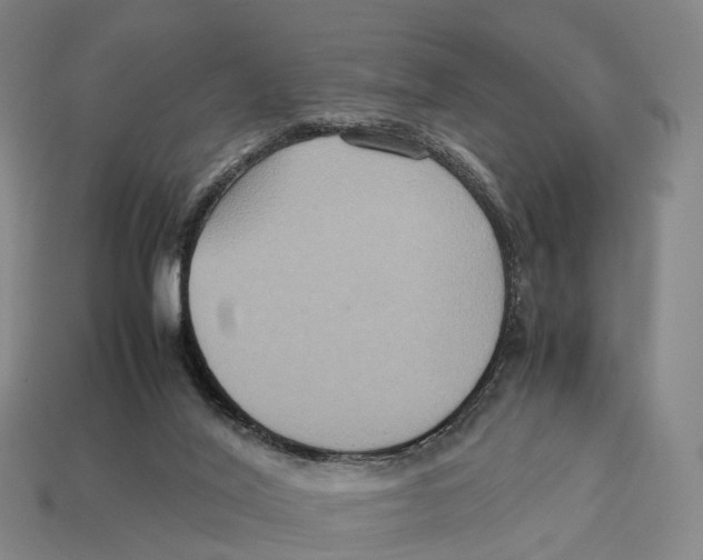 X0000113110020200909251101