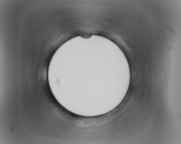 X0000113110021200909251101