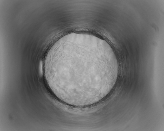 X0000113110022200909251101