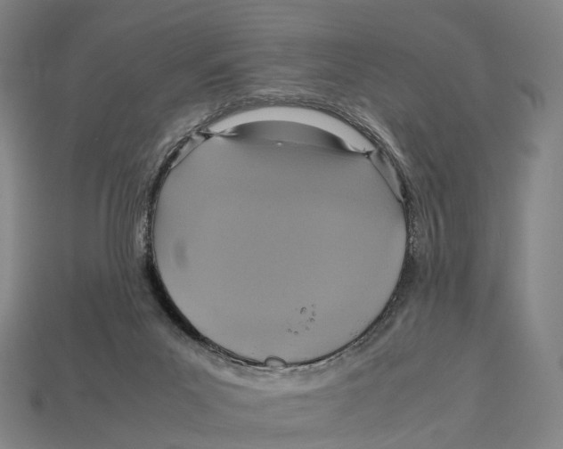 X0000113110023200909251101