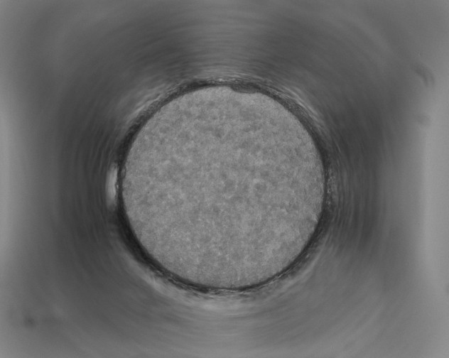 X0000113110024200909251101