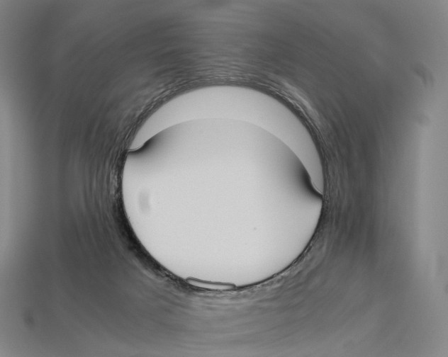 X0000113110025200909251101