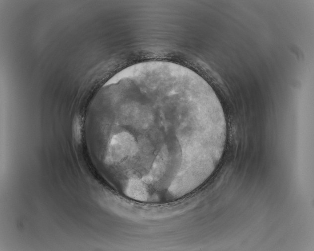 X0000113110026200909251101