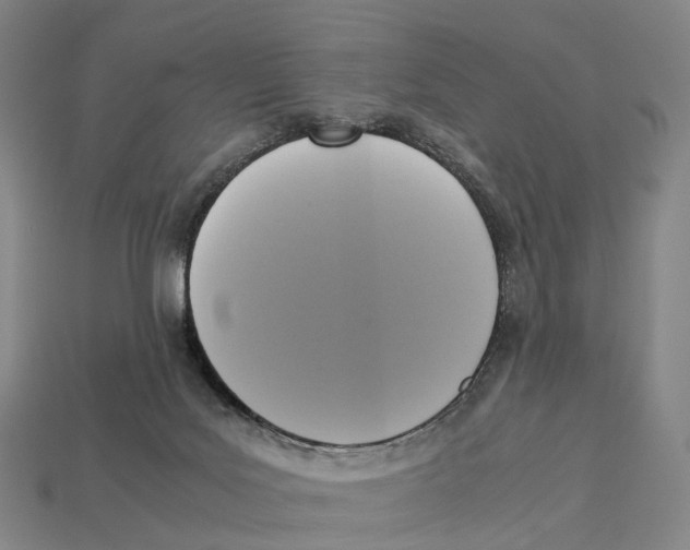 X0000113110027200909251101