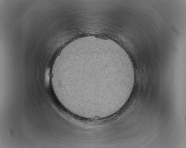 X0000113110028200909251101